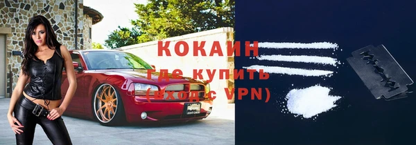 шишки Алексин
