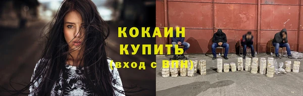 шишки Алексин