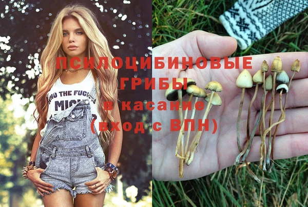 шишки Алексин