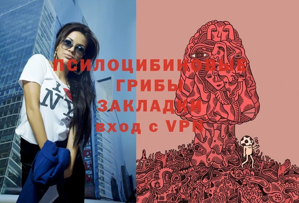 кокс Алзамай