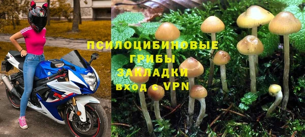 кокс Алзамай