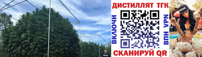 ТГК концентрат  Лабытнанги 