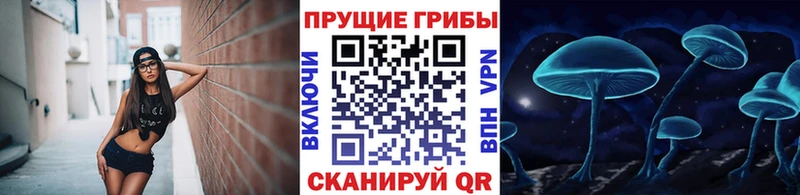 как найти наркотики  Лабытнанги  Псилоцибиновые грибы MAGIC MUSHROOMS 