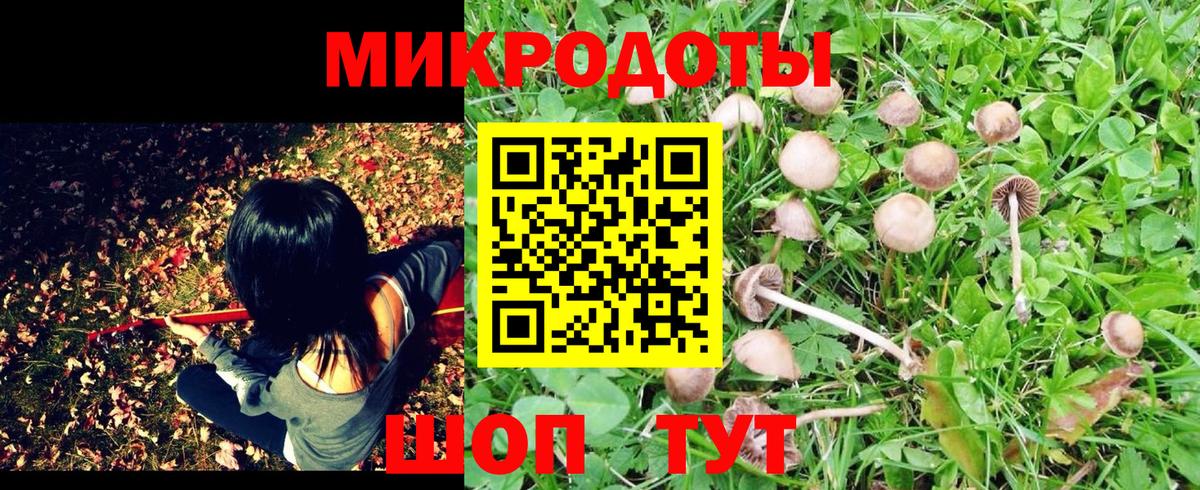 Псилоцибиновые грибы Psilocybine cubensis  Галлюциногенные грибы GOLDEN TEACHER  Вход с VPN  Лабытнанги 